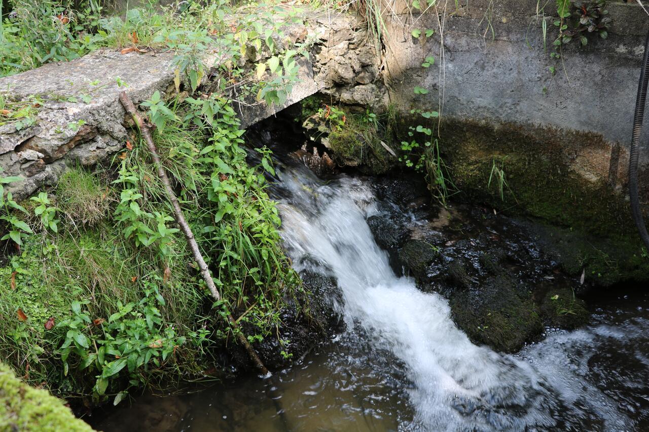 Clairefontaine-en-Yvelines Moulin De Vilgris Bed & Breakfast エクステリア 写真